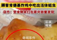 顾客肯德基炸鸡中吃出蛆虫 十分显眼