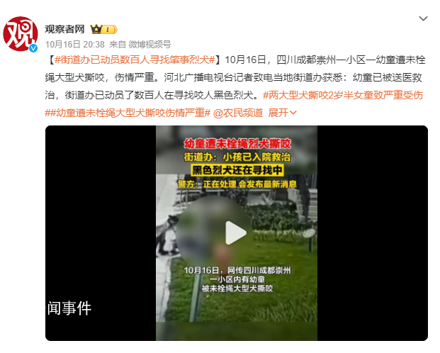 街道办已动员数百人寻找肇事烈犬
