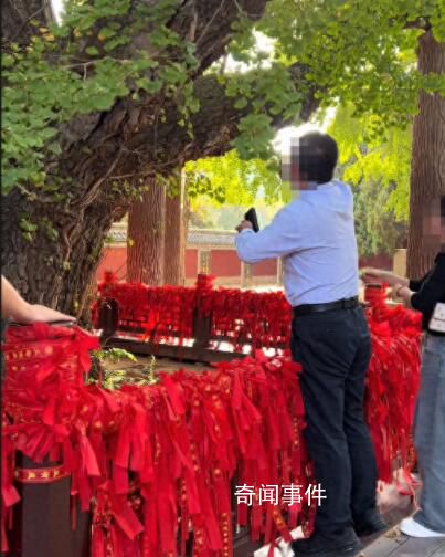 景区回应男子掐掉千年银杏树叶 抓到会被罚款