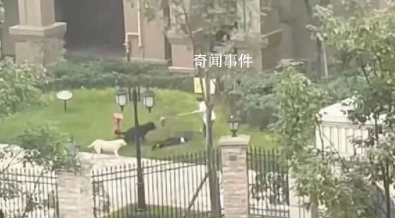 女童母亲:要追究物业和狗主人责任