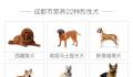 咬伤女童烈犬不在当地禁养犬名单中
