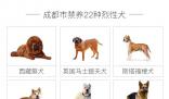 咬伤女童烈犬不在当地禁养犬名单中