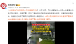 街道办已动员数百人寻找肇事烈犬