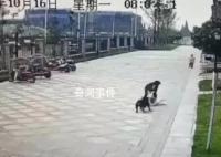 被恶犬咬伤的成都女童仍未苏醒 已有专家进行会诊