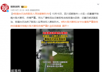 街道办已动员数百人寻找肇事烈犬