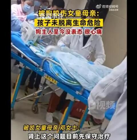 女童母亲说狗主人至今没表态