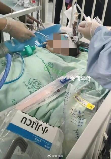 被狗咬伤女童已凑齐200万捐款