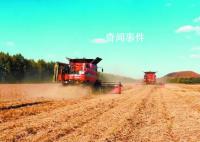 全力以赴保障粮食丰收 进度七成：抢抓农时保丰收