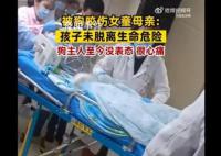女童母亲说狗主人至今没表态