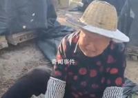 60箱蜜蜂被指遭人投毒一夜死光 背后真相令人愤怒