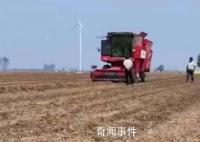 央媒评禁止机械设备收花生:瞎指挥
