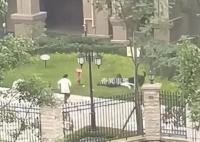宠物协会人士:建议养犬前先考试