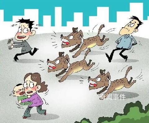这些养犬法律底线要清楚 希望大家依法养犬