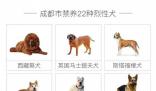 成都回应是否禁养罗威纳犬 罗威纳犬是否会被列入成都市禁养犬名单