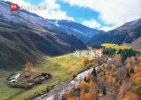 秋色与雪景在新疆同框了 大美祖国大美新疆