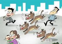 这些养犬法律底线要清楚 希望大家依法养犬
