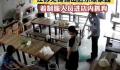 警方回应着制服人员进餐厅抓狗 最近正在抓狗