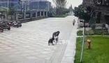 被咬女童家属请求对黑狗安乐死