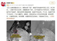 无人店铺凌晨起火 “凶手”竟是老鼠