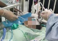 专家谈狗咬女童事件:不应搞株连