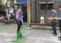 合肥:宠物狗出门不拴绳一律捕捉