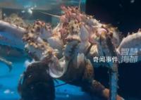 标价799的蟹吃了999的龙虾 引发关注