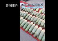沉浸式围观东北传统囤秋菜 如何囤秋菜