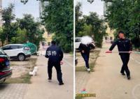 媒体评“不拴狗绳一律捕捉” 舆论场正在发生微妙的改变