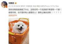 刘雅瑟称不是所有流浪狗都是坏狗 呼吁停止捕杀动物
