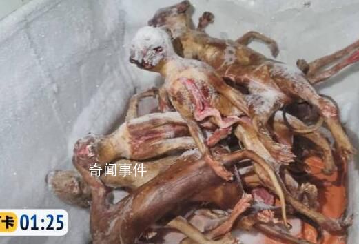 猫肉按每斤4块5充当猪羊肉 中间的差值全是利润