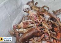猫肉按每斤4块5充当猪羊肉 中间的差值全是利润