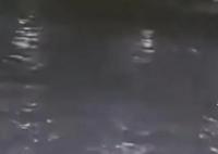 上海黄浦江两船碰撞一船员落水失联 事故原因正在进一步调查中