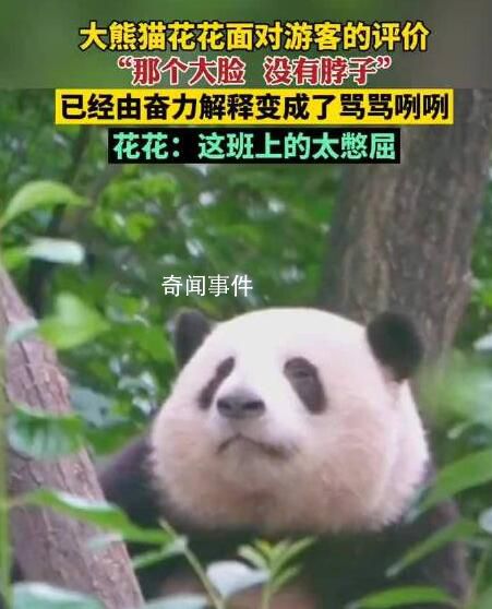 花花挣的工资有一大半是委屈费