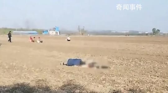 老人疑捡花生被卷入收割机身亡 警方已经介入处理此事
