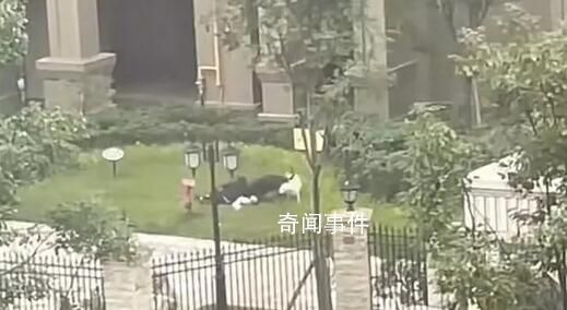 成都被狗咬伤女童转出ICU 正在该院进行后续治疗
