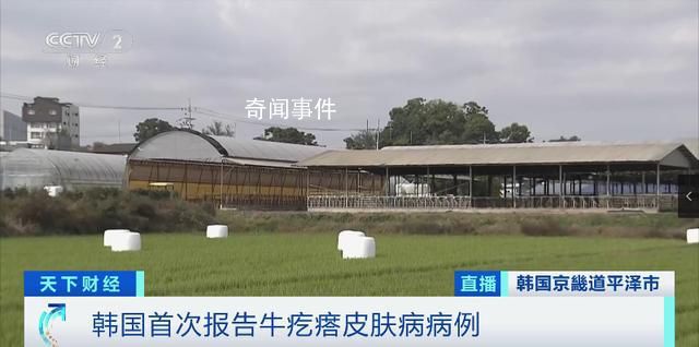 韩国确诊多例牛疙瘩皮肤病病例 引发了韩国社会的高度关注