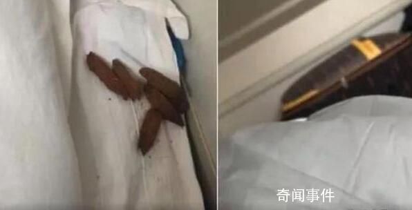 男子在卧铺发现“排泄物”样异物 12306回应：床单会换