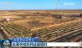 全国秋收进度近八成 吉林省大安市72万亩水稻收获进入高峰