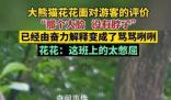 花花挣的工资有一大半是委屈费