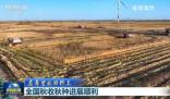 全国秋收进度近八成 吉林省大安市72万亩水稻收获进入高峰