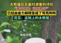 花花挣的工资有一大半是委屈费