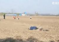 老人疑捡花生被卷入收割机身亡 警方已经介入处理此事