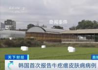 韩国确诊多例牛疙瘩皮肤病病例 引发了韩国社会的高度关注