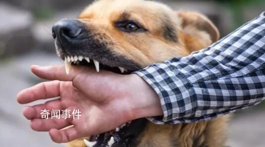 狂犬病潜伏期长达十几年?别信