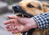 狂犬病潜伏期长达十几年?别信