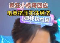 疯狂小杨哥回应电商挤压实体经济