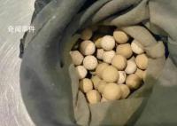 旅客携保健石入境 核辐射超标千倍