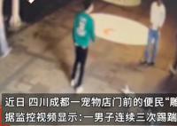 宠物店前雕塑狗遭人打砸 店主气炸