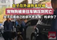未拴绳的狗被车压死 主人扇脸大哭