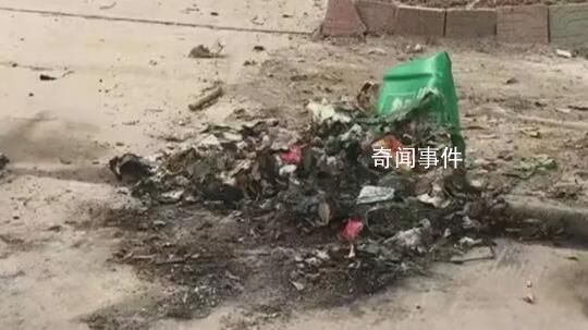 两男子心情不好烧56个垃圾桶